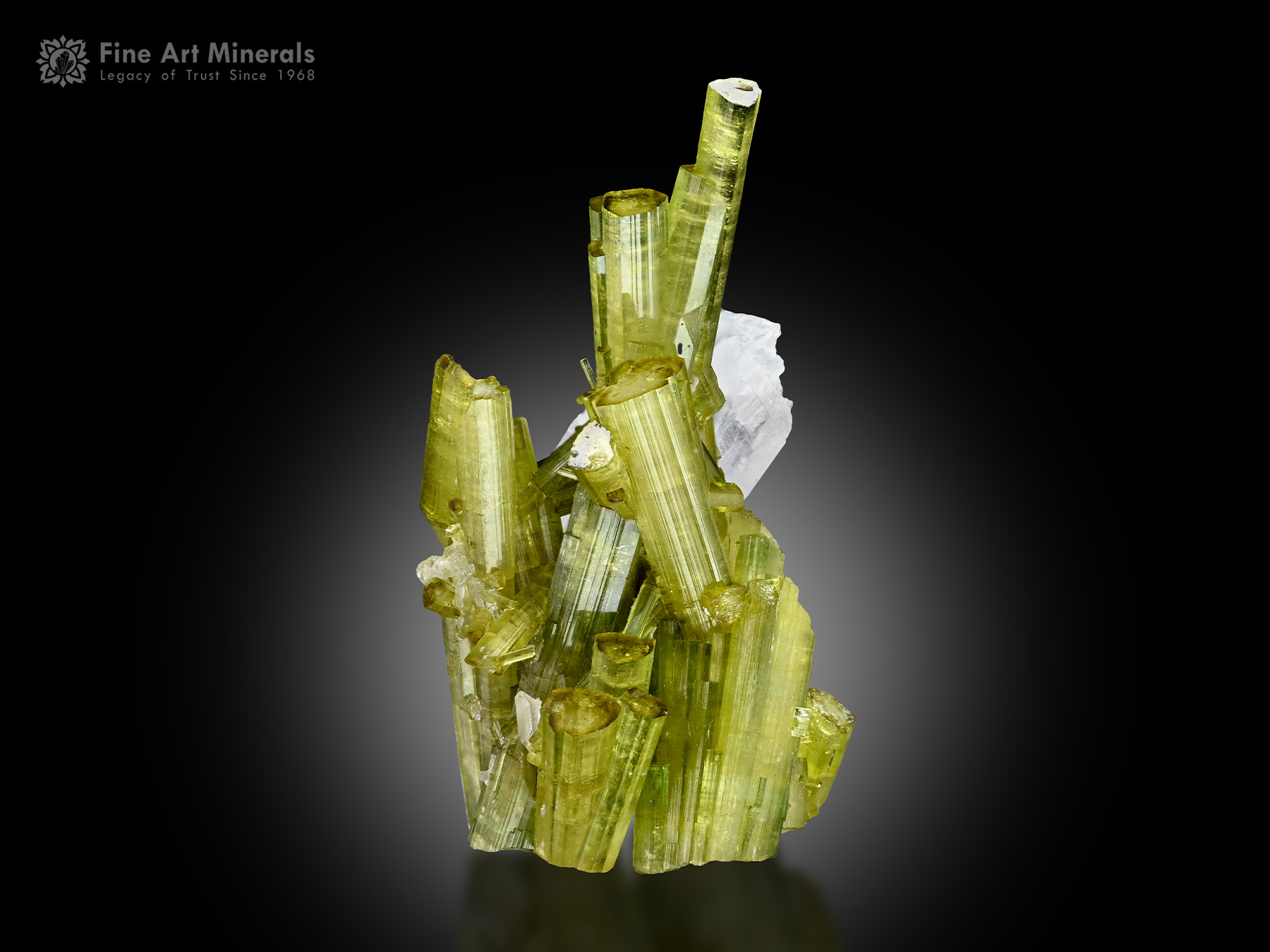Tourmaline with Vitaniemiite from Pakistan - TRML-241 - Fine Art Minerals