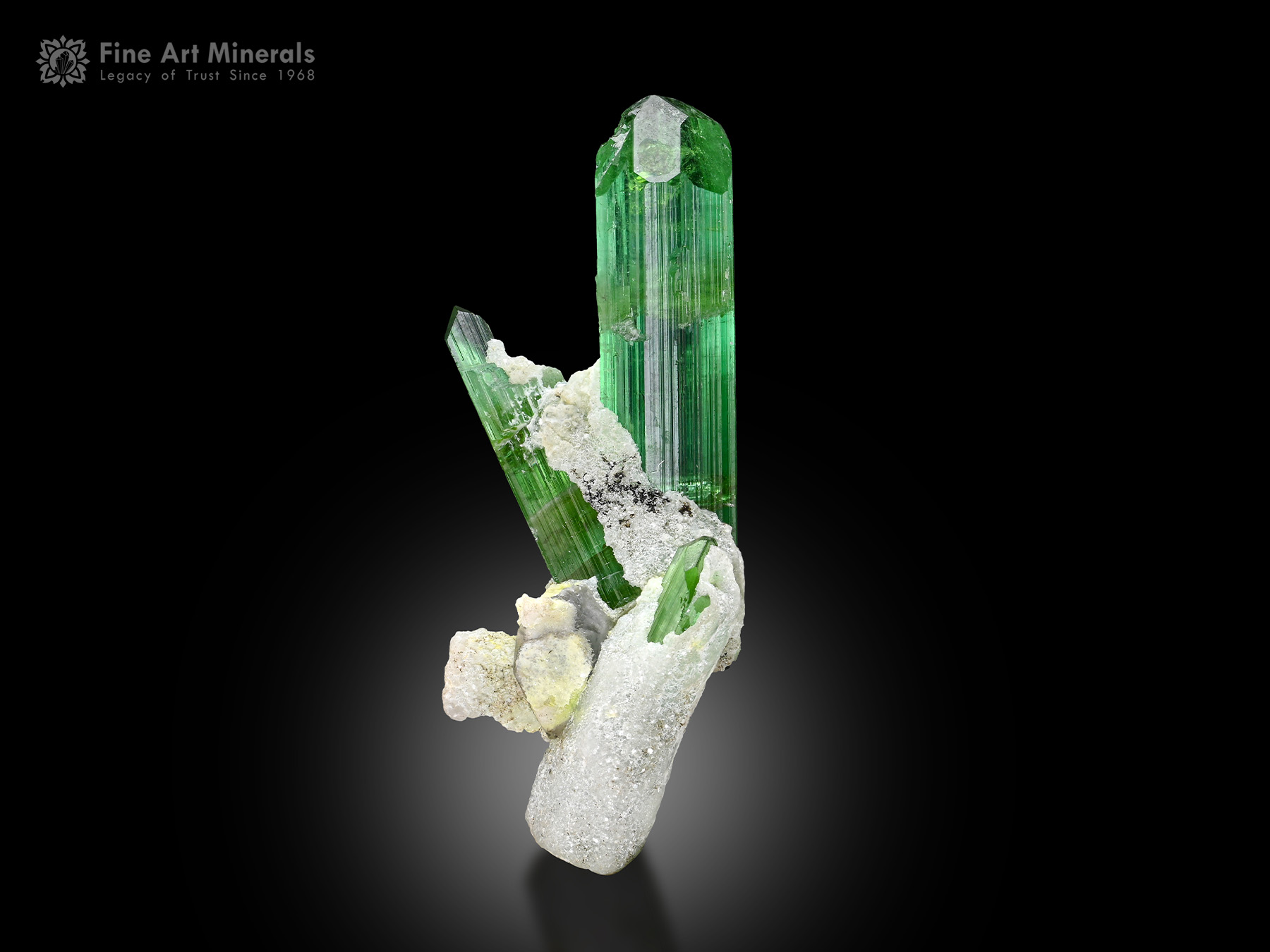 Tourmaline with Albite from Afghanistan - TRML-226 - Fine Art Minerals