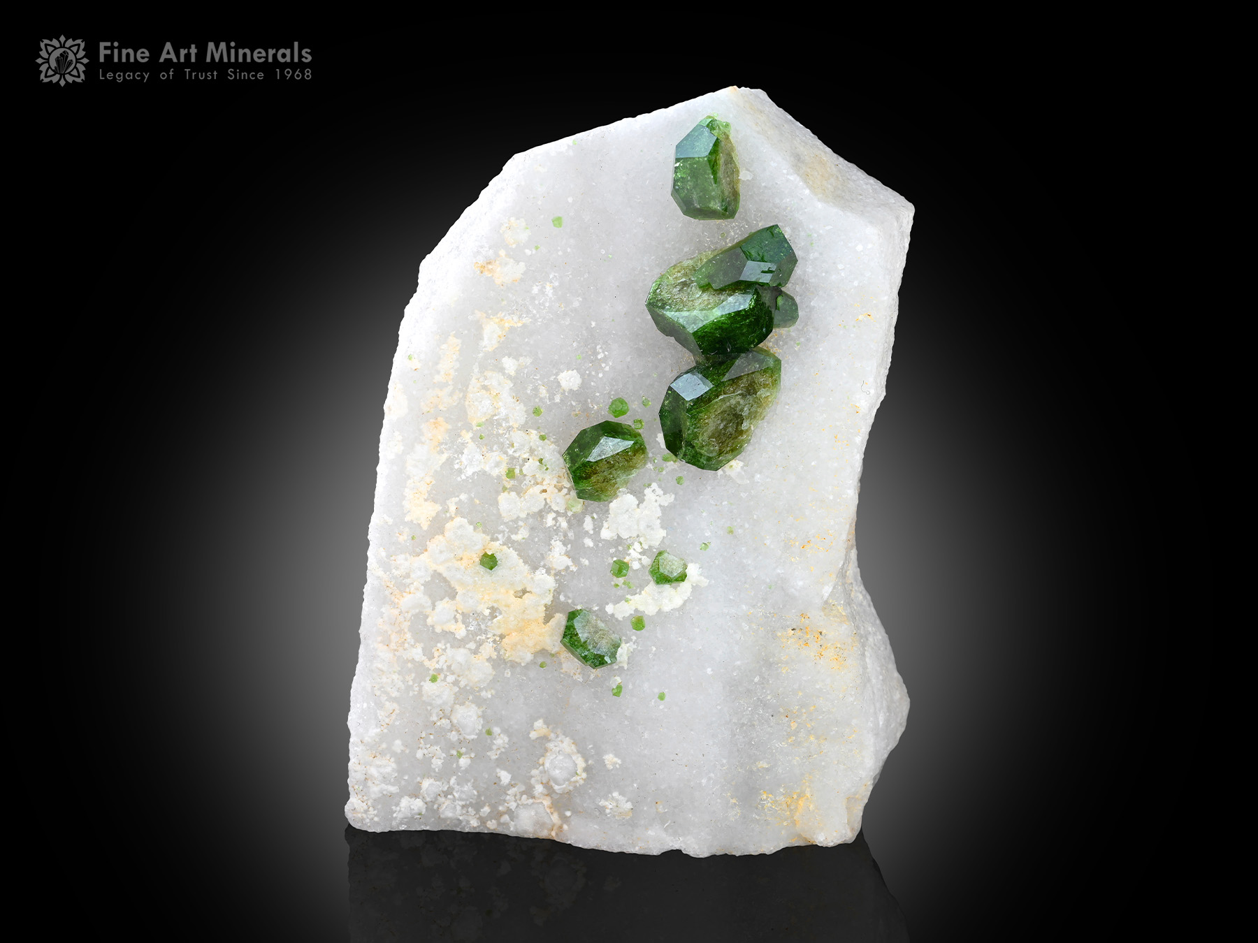 Chromium Dravite with Traces of Vanadium from Pakistan - T-CDT-02 - Fine Art Minerals