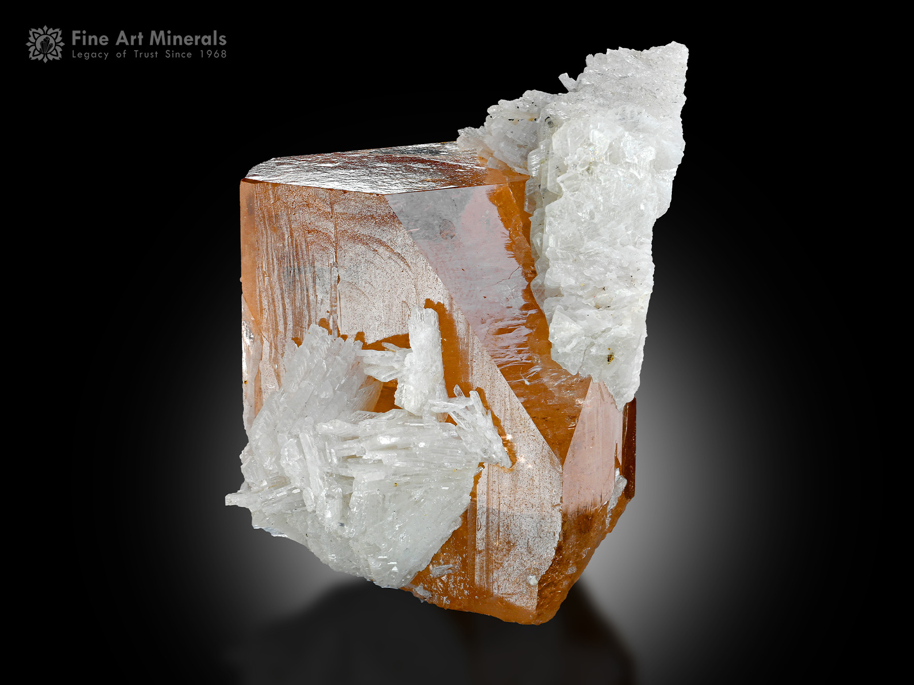 Topaz with Cleavelandite from Pakistan - TPZ-52 - Fine Art Minerals