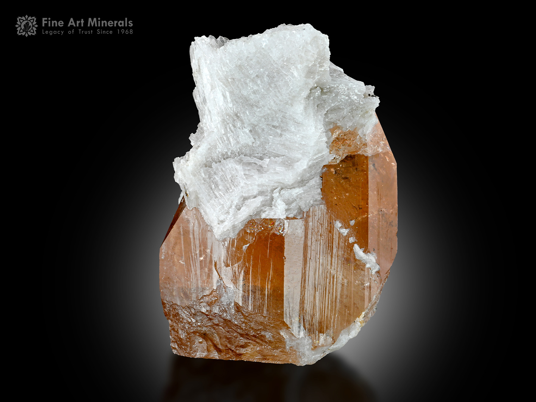 Topaz with Cleavelandite from Pakistan - TPZ-52 - Fine Art Minerals