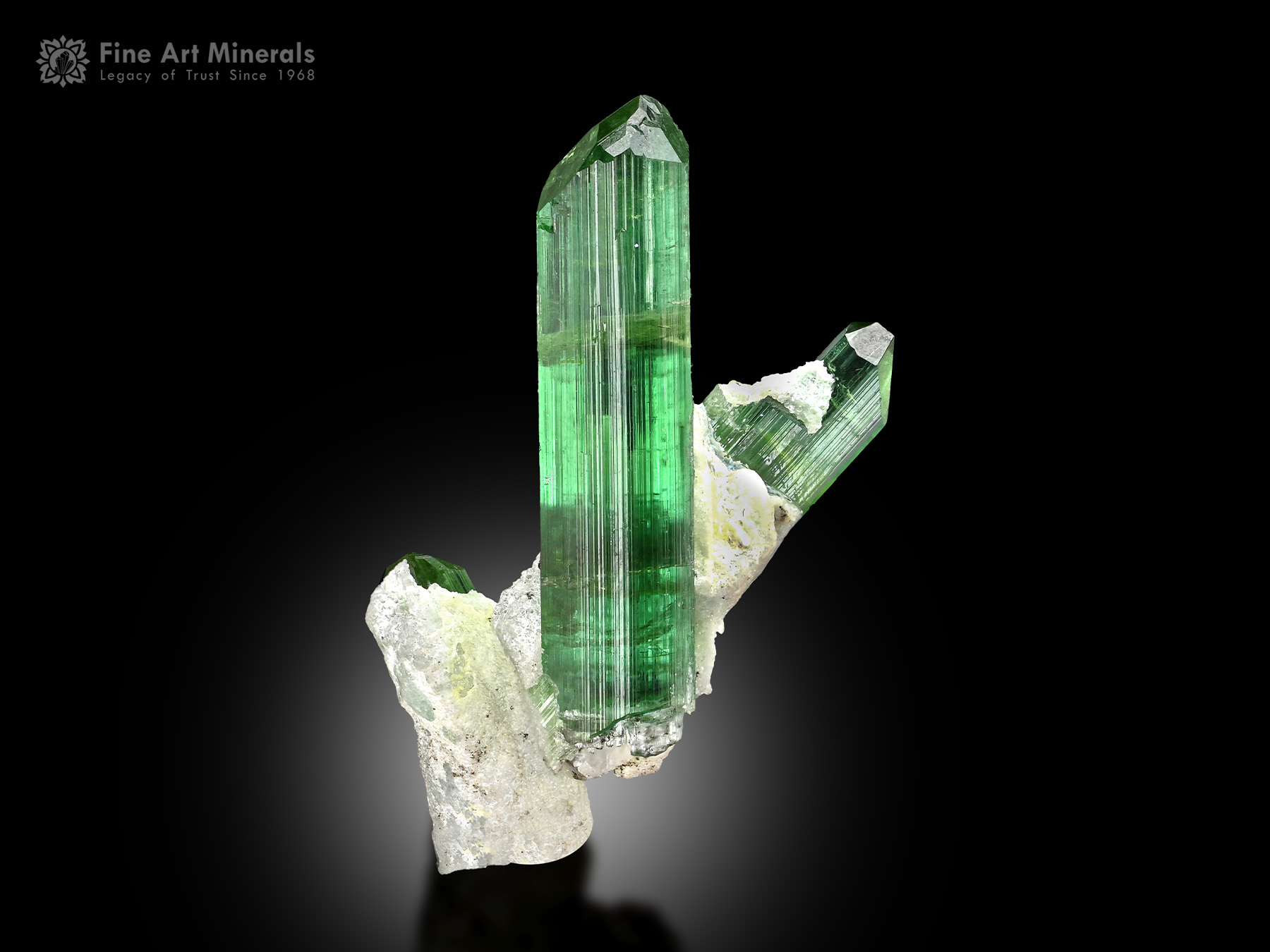 Tourmaline with Albite from Afghanistan - TRML-226 - Fine Art Minerals