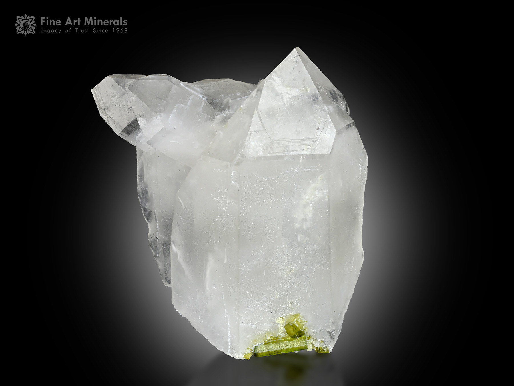 Quartz with Tourmaline from Pakistan - QTZ-84 - Fine Art Minerals