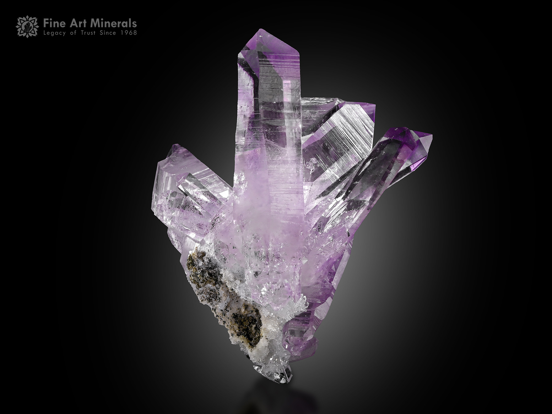 Quartz var. Amethyst from Mexico - Q-AMT-23 - Fine Art Minerals