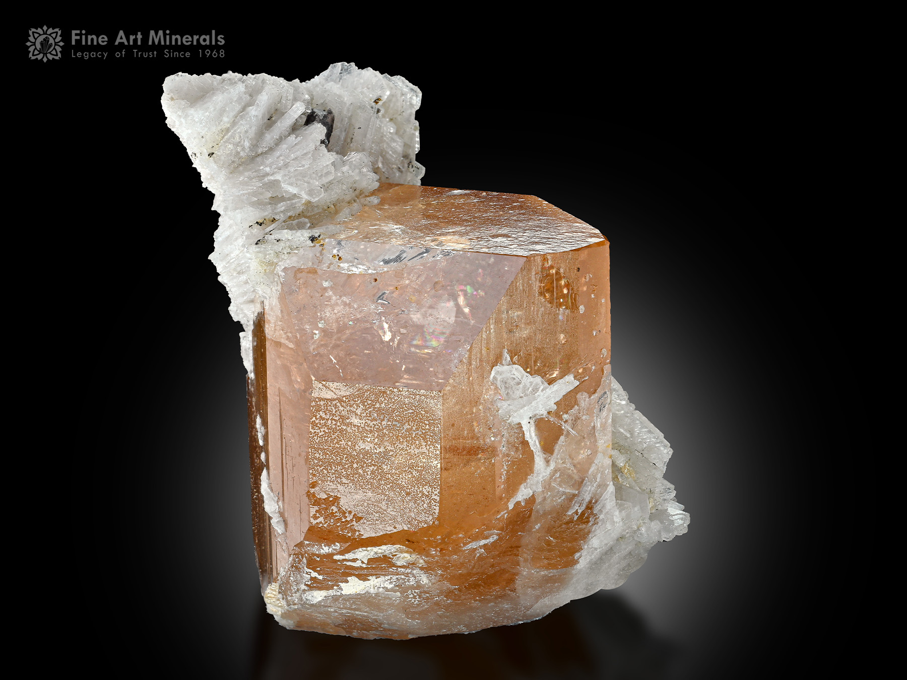 Topaz with Cleavelandite from Pakistan - TPZ-52 - Fine Art Minerals