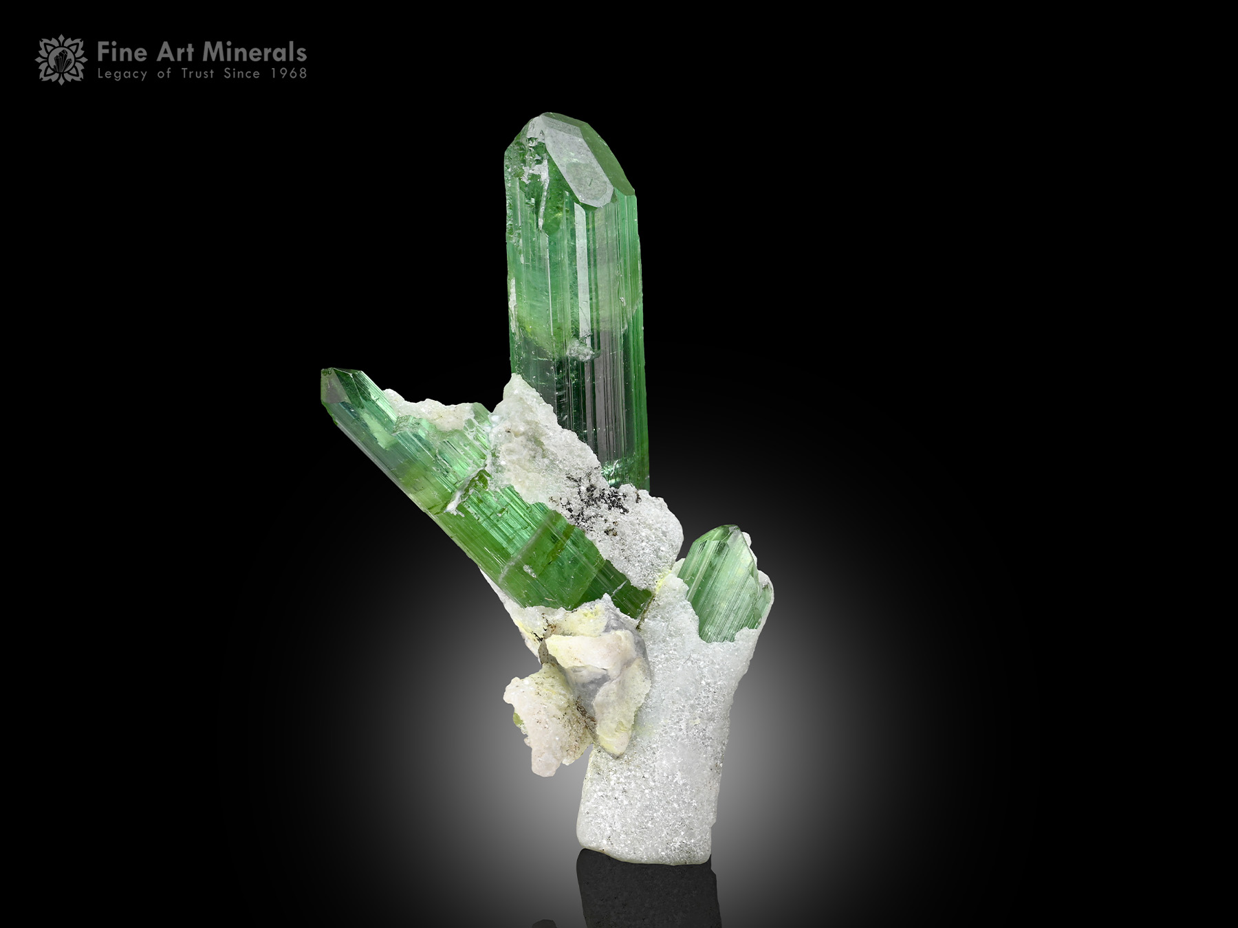 Tourmaline with Albite from Afghanistan - TRML-226 - Fine Art Minerals